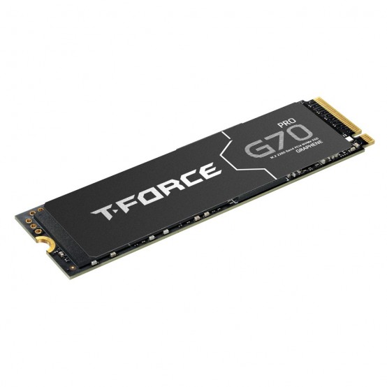 SSD Team Group G70 Pro TM8FFH001T0C129