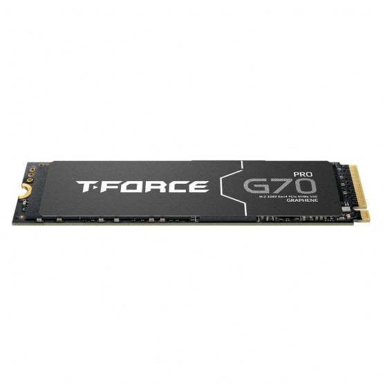 SSD Team Group G70 Pro TM8FFH001T0C129