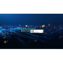 SSD Kingston DC2000B SEDC2000BYM8/240G