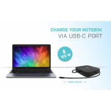 Docking Station iTec C31DUALDPDOCKPD