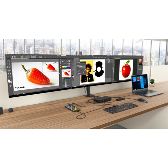 Docking Station iTec CATRIPLEDOCKPDPROUK