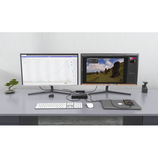 Docking Station iTec TB3CDUALDPDOCKPDIT
