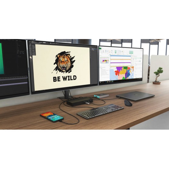 Docking Station iTec TB3TRIPLEDOCKPD