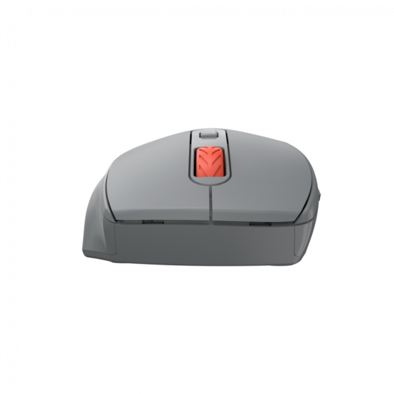 Mouse Canyon  CNE-CMSW20DG