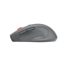 Mouse Canyon  CNE-CMSW20DG