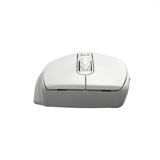 Mouse Canyon  CNE-CMSW20W