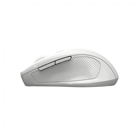 Mouse Canyon  CNE-CMSW20W