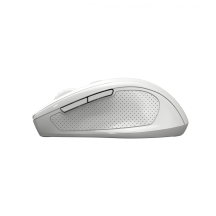 Mouse Canyon  CNE-CMSW20W