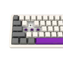 Tastatura Lorgar Wireless 65% Mechanical Gaming Keyboard Pro Beige LRG-KBP70MW-RT-US
