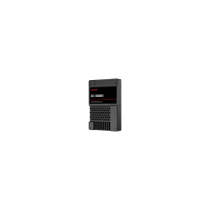 SSD Western Digital DC SN861 0TS2526