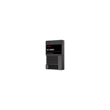 SSD Western Digital DC SN861 0TS2532