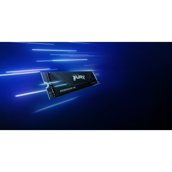 SSD Kingston FURY Renegade G5 SFYR2D/8T1