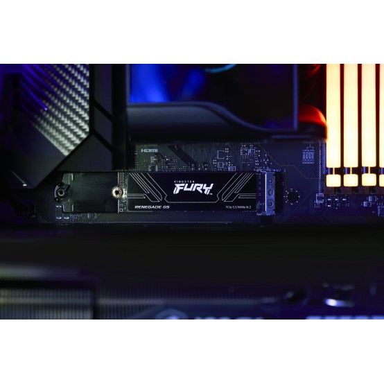 SSD Kingston FURY Renegade G5 SFYR2D/8T1