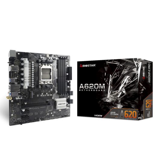 Placa de baza Biostar  A620MP­E PRO