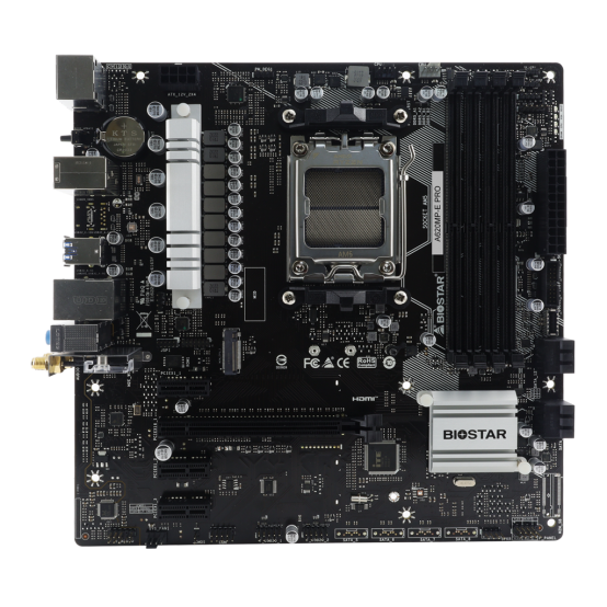 Placa de baza Biostar  A620MP­E PRO