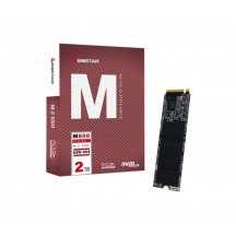 SSD Biostar M800 M800­2TB