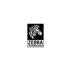 Cap de printare Zebra Printhead Assy., (203 dpi) G105910-148 2