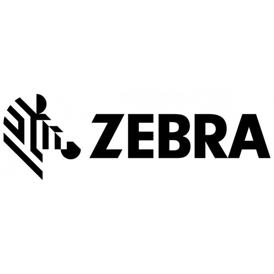 Cap de printare Zebra Kit, Printhead 300 dpi, ZD421T P1112640-219