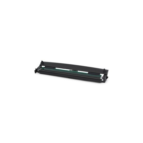 Cap de printare Zebra Kit, Printhead 203dpi, ZD421C P1116110-009
