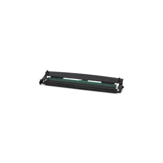 Cap de printare Zebra Kit, Printhead 300dpi, ZD421C P1116110-010