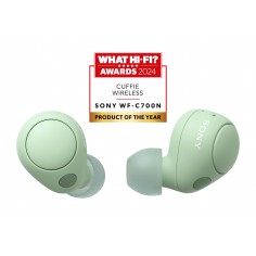 Casca Sony WF-C700NG WFC700NG.CE7