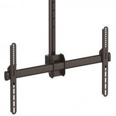Suport StarTech.com  FPCEILPTBLP 2