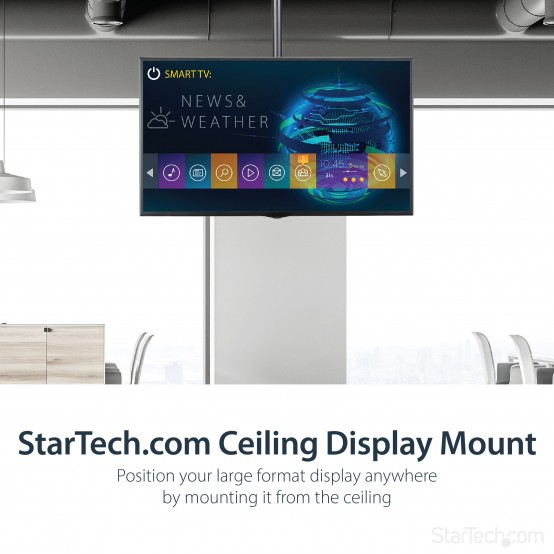 Suport StarTech.com  FPCEILPTBLP
