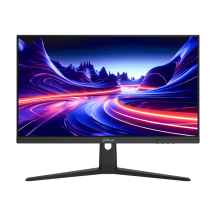 Monitor Dahua DHI-LM25-E231B