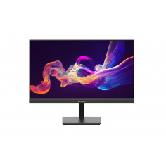Monitor HIKVision  DS-D5024F2-AP2