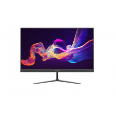 Monitor HIKVision  DS-D5024F2-BV2S