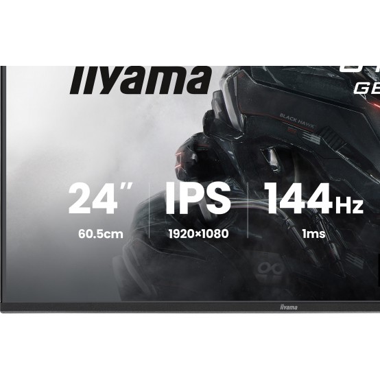 Monitor iiyama  GB2441HSU-B1