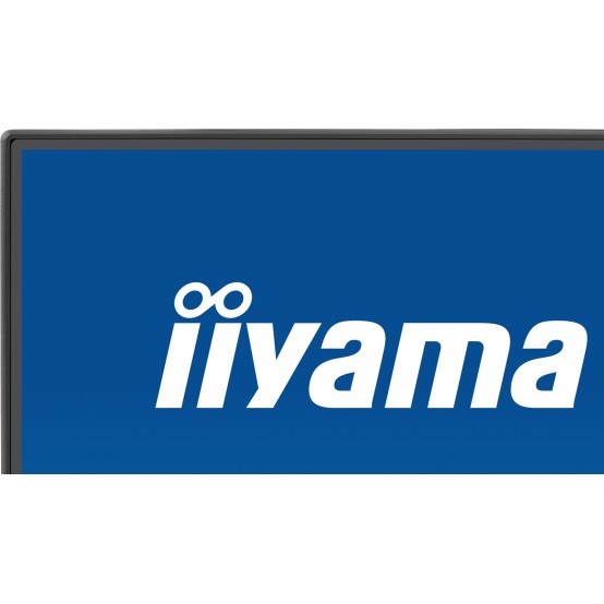 Monitor iiyama  X2492HSU-B1