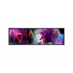 Monitor Philips  37BDL3050S/00