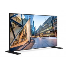 Monitor NEC MultiSync C981Q 60004516