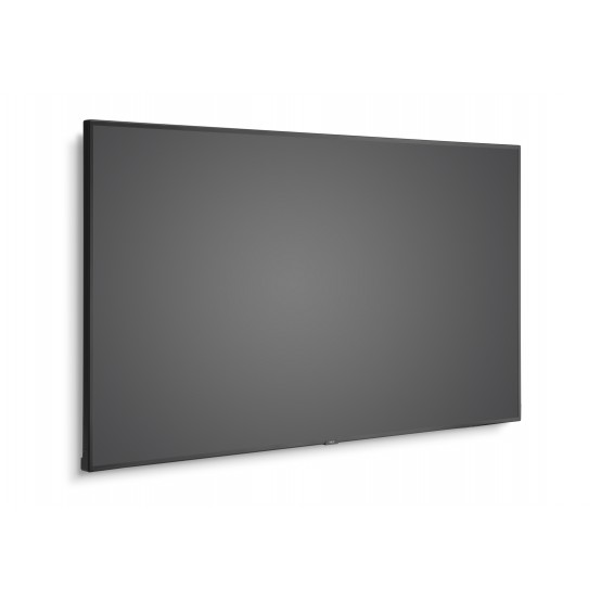 Monitor NEC MultiSync C981Q 60004516