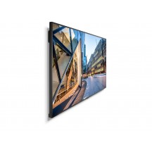 Monitor NEC MultiSync C981Q 60004516