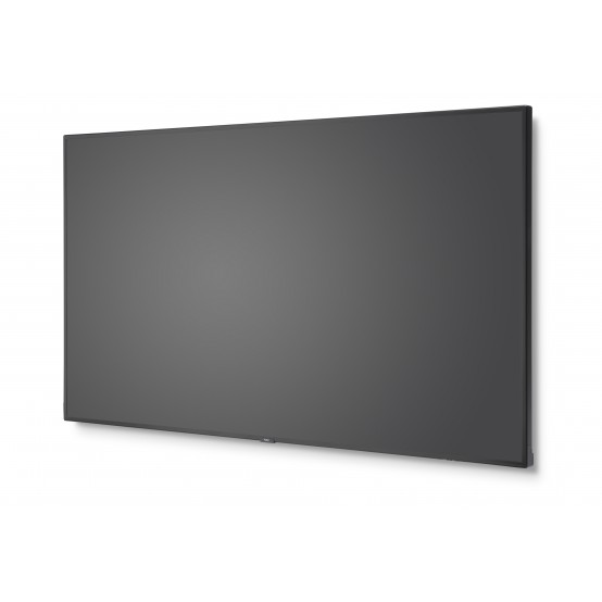 Monitor NEC MultiSync C981Q 60004516
