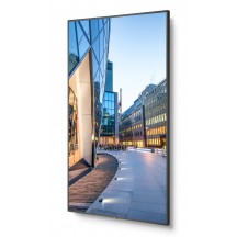 Monitor NEC MultiSync C981Q 60004516