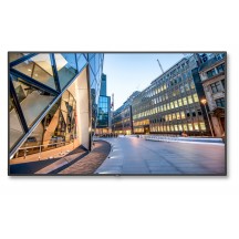 Monitor NEC MultiSync C981Q 60004516