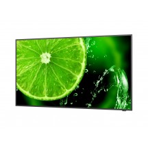 Monitor NEC MultiSync E498 60005052