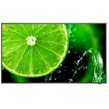 Monitor NEC MultiSync E498 60005052