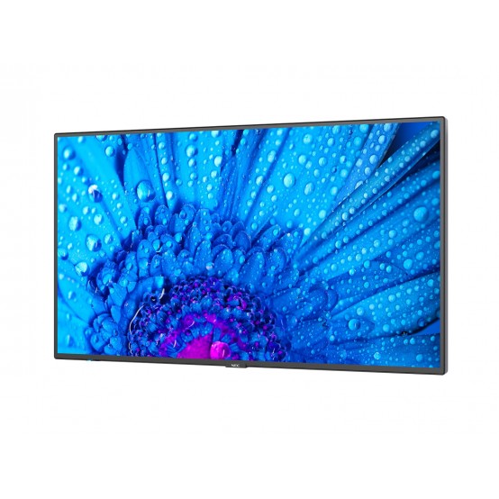 Monitor NEC MultiSync M651 60005061