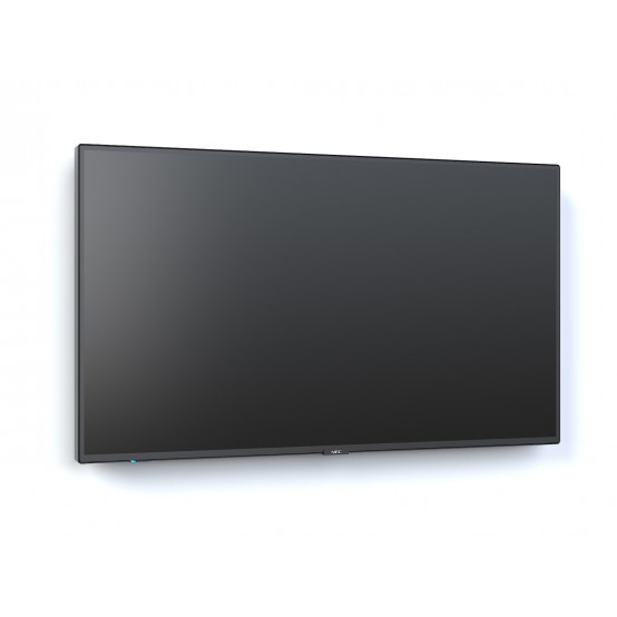 Monitor NEC MultiSync M651 60005061