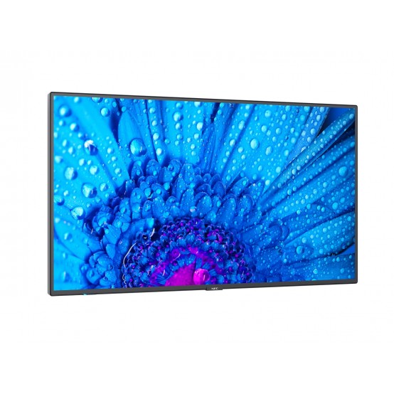 Monitor NEC MultiSync M651 60005061