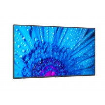 Monitor NEC MultiSync M651 60005061