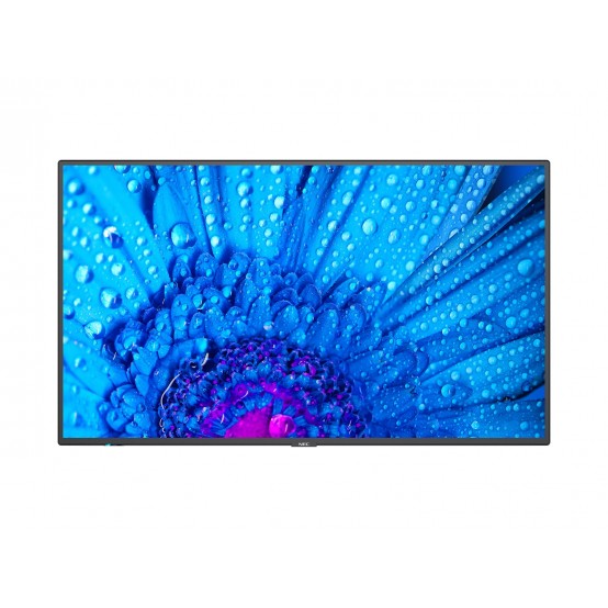 Monitor NEC MultiSync M651 60005061