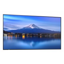 Monitor NEC PN-P656 60006061