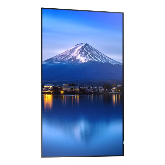 Monitor NEC PN-P656 60006061