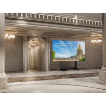 Monitor ViewSonic  LDS138-151