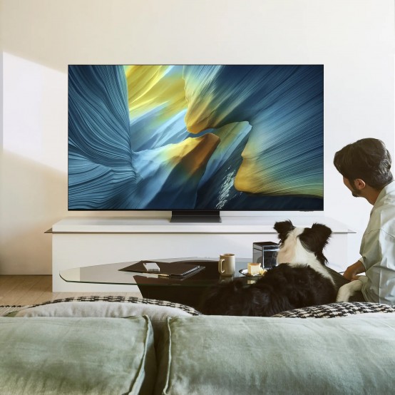 Televizor Samsung  QE77S95FATXXH